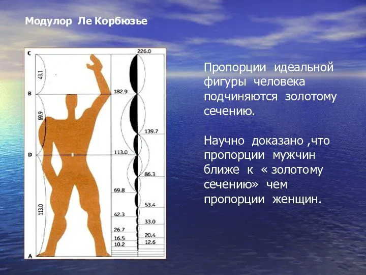 Пропорции идеальной фигуры человека подчиняются золотому сечению. Научно доказано ,что пропорции