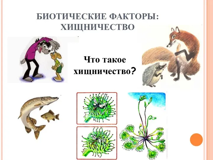 БИОТИЧЕСКИЕ ФАКТОРЫ: ХИЩНИЧЕСТВО Что такое хищничество?