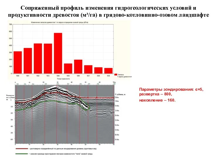 Сопряженный профиль изменения гидрогеологических условий и продуктивности древостоя (м³/га) в грядово-котловинно-озовом