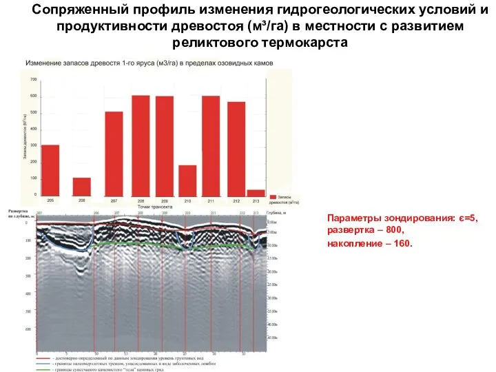 Сопряженный профиль изменения гидрогеологических условий и продуктивности древостоя (м³/га) в местности