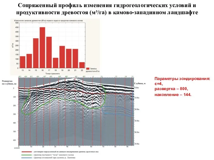 Сопряженный профиль изменения гидрогеологических условий и продуктивности древостоя (м³/га) в камово-западинном