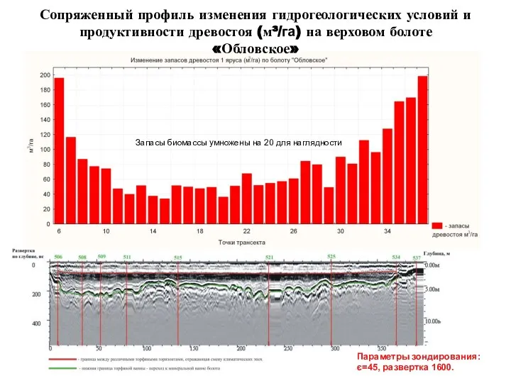 Сопряженный профиль изменения гидрогеологических условий и продуктивности древостоя (м³/га) на верховом