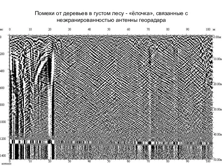 Помехи от деревьев в густом лесу - «ёлочка», связанные с неэкранированностью антенны георадара