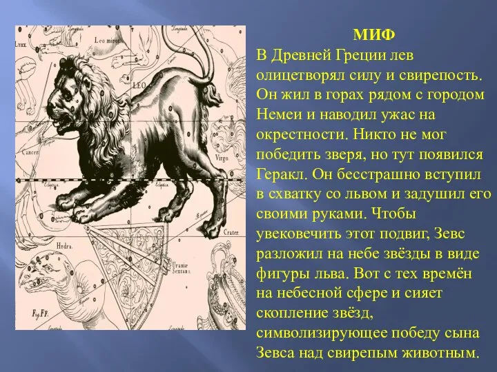 МИФ В Древней Греции лев олицетворял силу и свирепость. Он жил