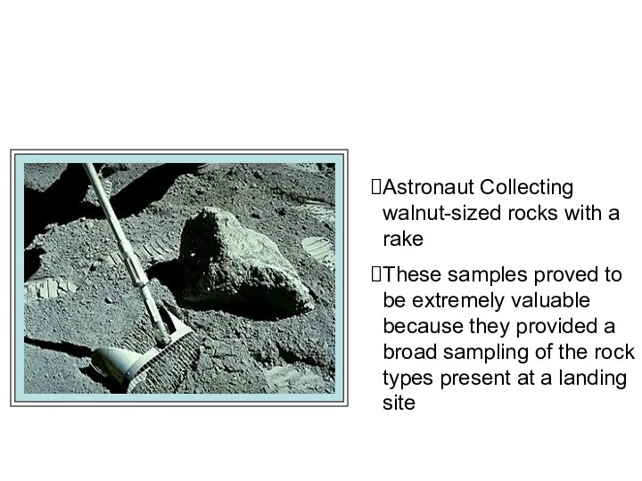 Astronaut Collecting walnut-sized rocks with a rake These samples proved to