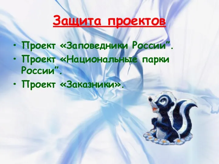 Защита проектов Проект «Заповедники России”. Проект «Национальные парки России”. Проект «Заказники».