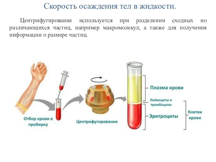 Скорость осаждения тел в жидкости. Центрифугирование используется при разделении сходных но