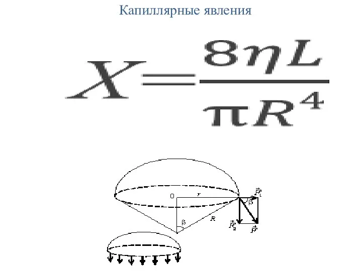 Капиллярные явления