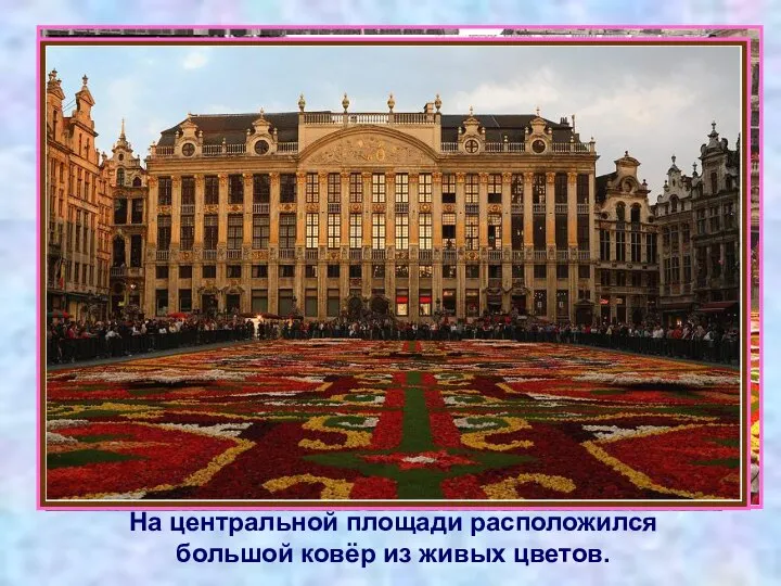На центральной площади расположился большой ковёр из живых цветов.