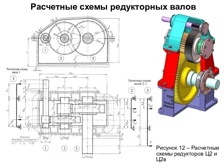 Расчетные схемы редукторных валов Рисунок 12 – Расчетные схемы редукторов Ц2 и Ц2в