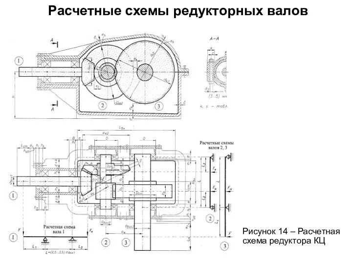 Расчетные схемы редукторных валов Рисунок 14 – Расчетная схема редуктора КЦ