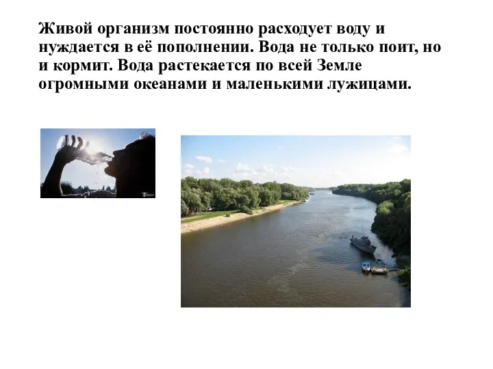 Живой организм постоянно расходует воду и нуждается в её пополнении. Вода