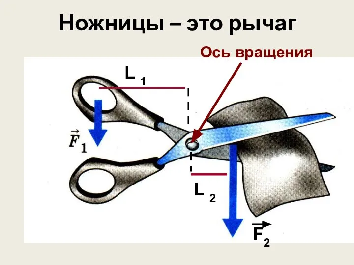 Ножницы – это рычаг Ось вращения L 1 F2 L 2