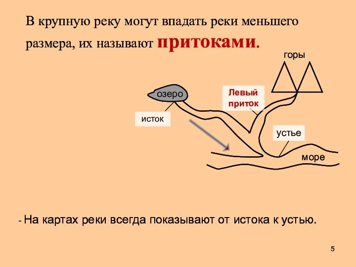 устье море Левый приток исток озеро горы В крупную реку могут