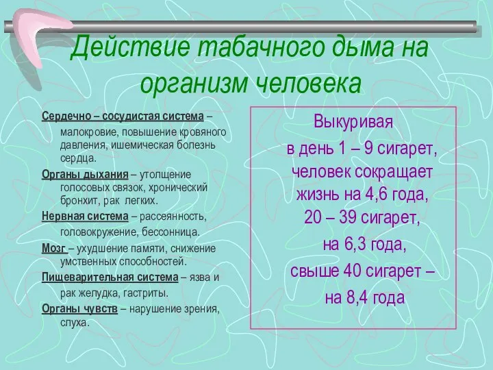 Действие табачного дыма на организм человека Сердечно – сосудистая система –