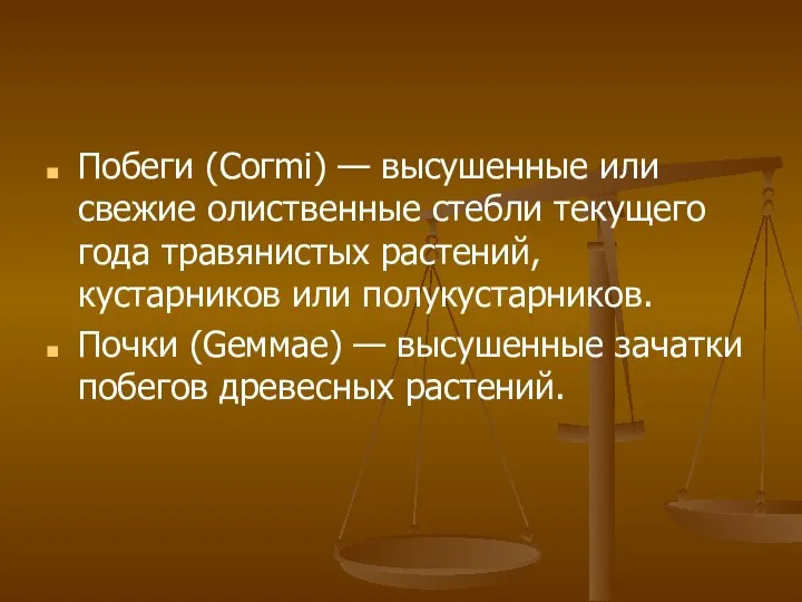 Побеги (Согmi) — высушенные или свежие олиственные стебли текущего года травянистых