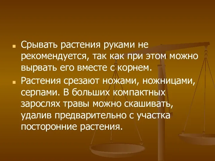 Срывать растения руками не рекомендуется, так как при этом можно вырвать