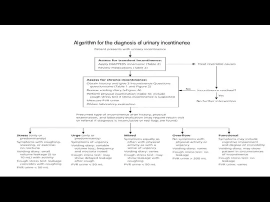 Algorithm for the diagnosis of urinary incontinence