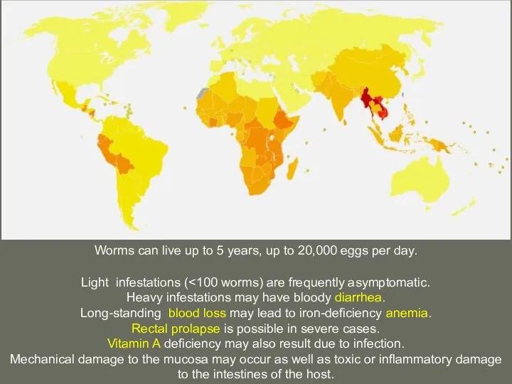 Worms can live up to 5 years, up to 20,000 eggs