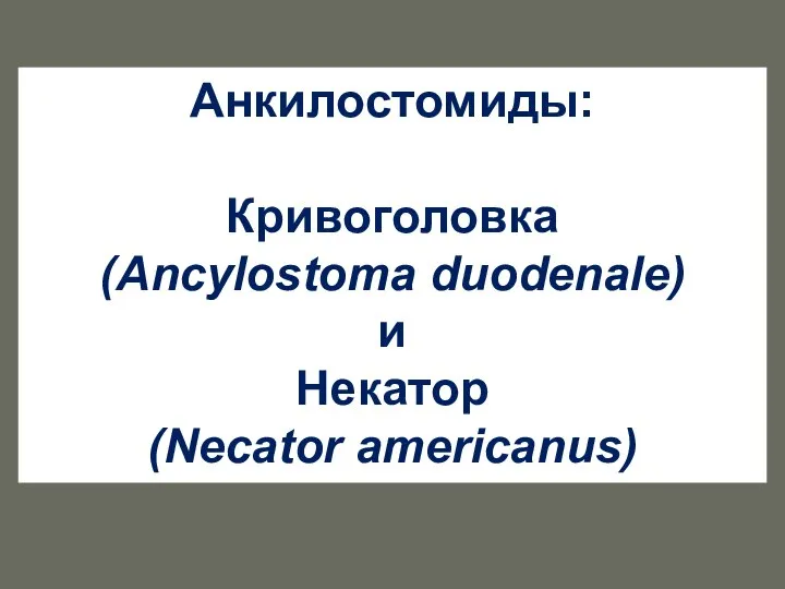 Анкилостомиды: Кривоголовка (Ancylostoma duodenale) и Некатор (Necator americanus)