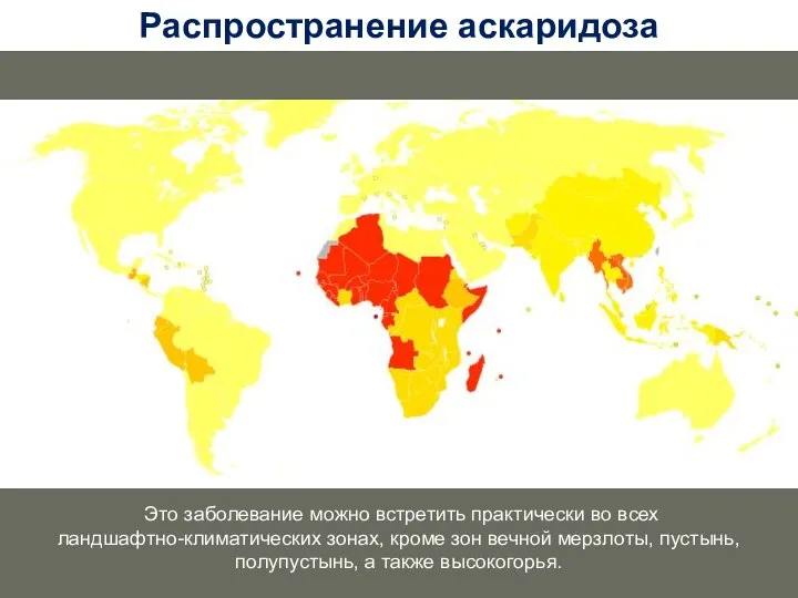 Распространение аскаридоза Это заболевание можно встретить практически во всех ландшафтно-климатических зонах,