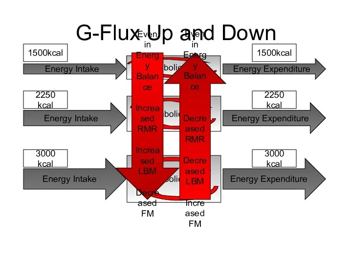 G-Flux Up and Down Energy Expenditure Energy Intake Energy Expenditure Energy