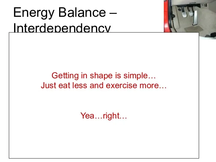 Energy Balance – Interdependency The metabolic gas pedal… -Increase or decrease