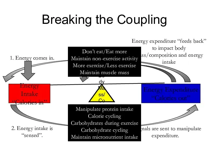 Body Mass/Composition Energy Intake “Calories in” Energy Expenditure “Calories out” 2.