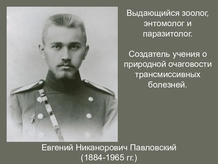 Евгений Никанорович Павловский (1884-1965 гг.) Выдающийся зоолог, энтомолог и паразитолог. Создатель