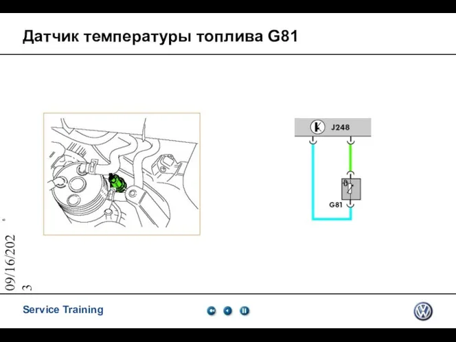 09/16/2023 Датчик температуры топлива G81