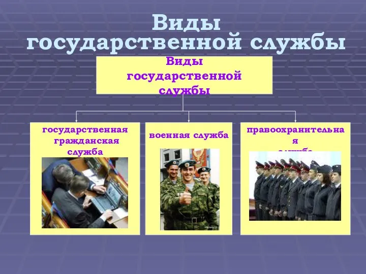 Виды государственной службы Виды государственной службы государственная гражданская служба военная служба правоохранительная служба