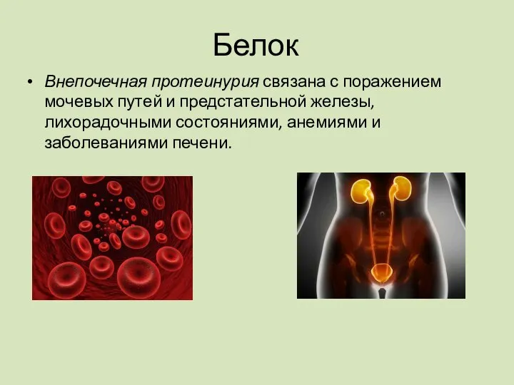 Внепочечная протеинурия связана с поражением мочевых путей и предстательной железы, лихорадочными