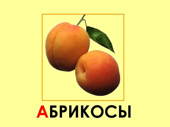 АБРИКОСЫ