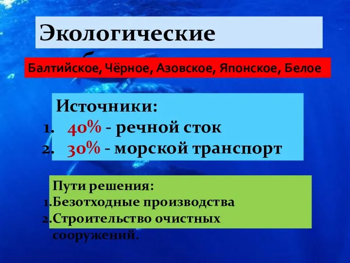 Экологические проблемы. Балтийское, Чёрное, Азовское, Японское, Белое Источники: 40% - речной