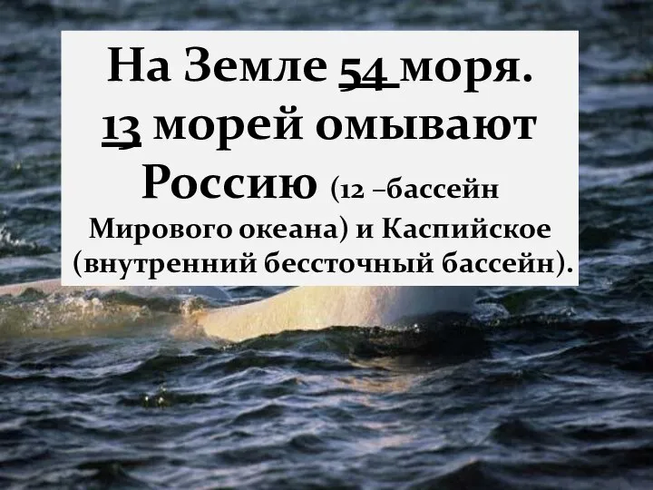 На Земле 54 моря. 13 морей омывают Россию (12 –бассейн Мирового