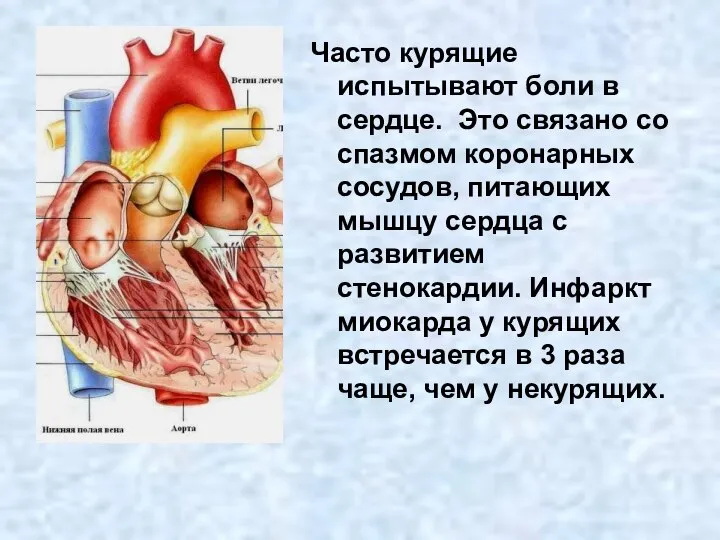 Часто курящие испытывают боли в сердце. Это связано со спазмом коронарных