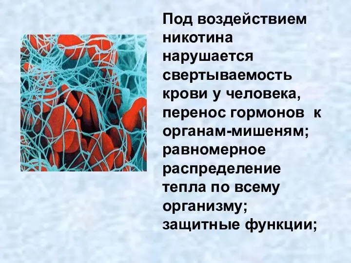 Под воздействием никотина нарушается свертываемость крови у человека, перенос гормонов к