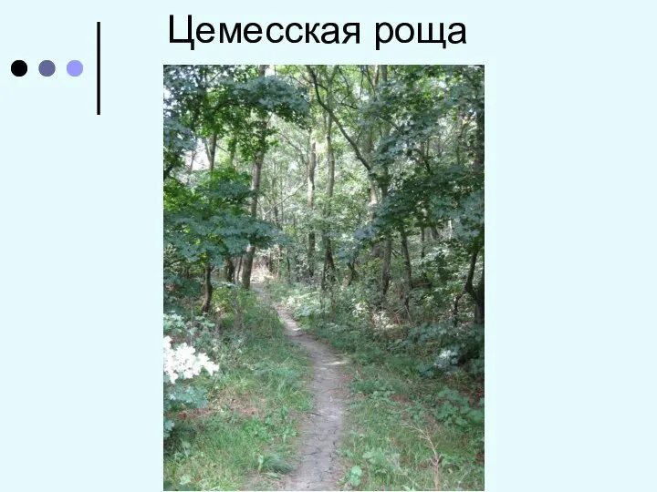 Цемесская роща