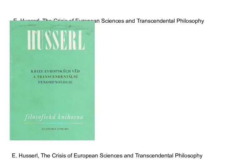 E. Husserl, The Crisis of European Sciences and Transcendental Philosophy E.