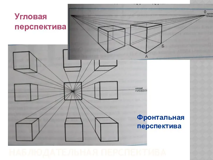 НАБЛЮДАТЕЛЬНАЯ ПЕРСПЕКТИВА Фронтальная перспектива Угловая перспектива