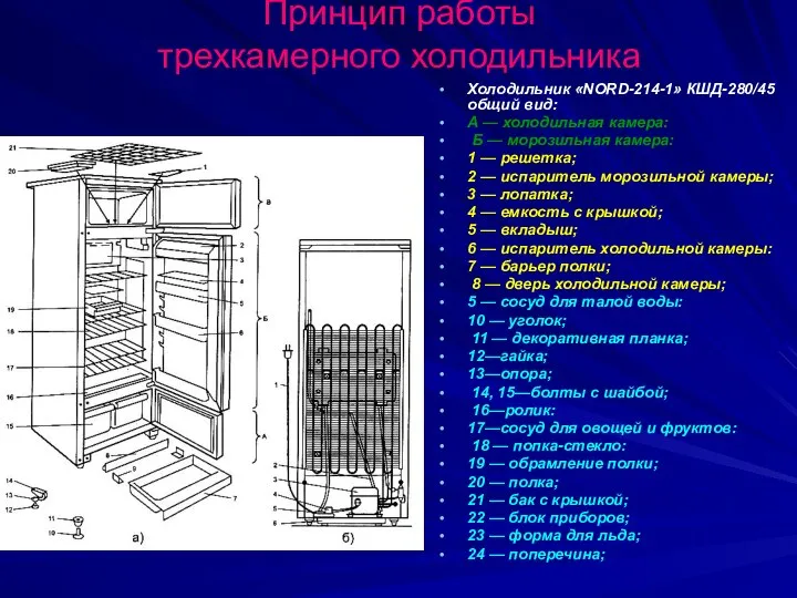 Принцип работы трехкамерного холодильника Холодильник «NORD-214-1» КШД-280/45 общий вид: А —