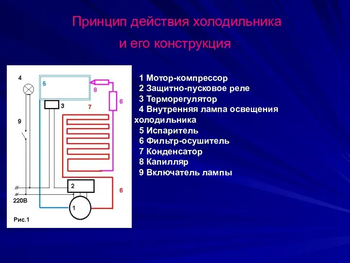 Принцип действия холодильника и его конструкция 1 Мотор-компрессор 2 Защитно-пусковое реле