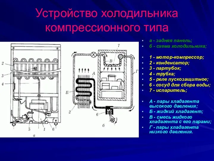 Устройство холодильника компрессионного типа а - задняя панель; б - схема