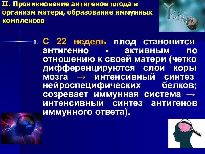 II. Проникновение антигенов плода в организм матери, образование иммунных комплексов С