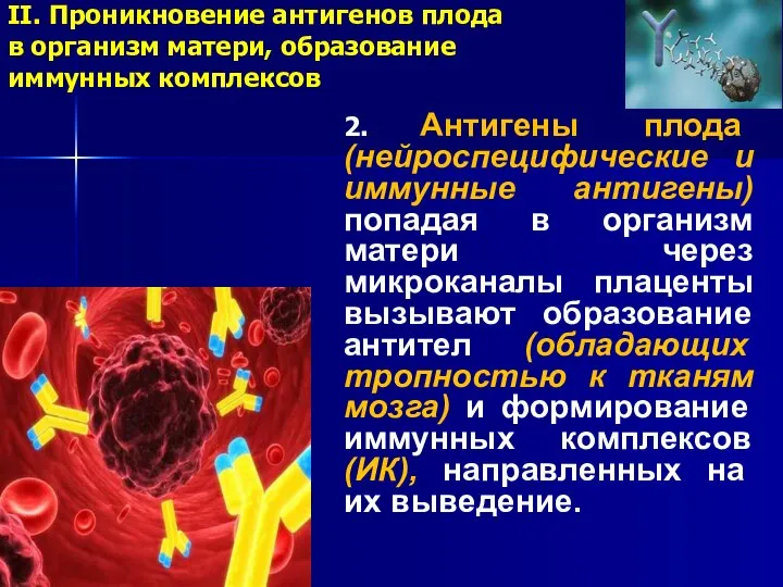 II. Проникновение антигенов плода в организм матери, образование иммунных комплексов 2.