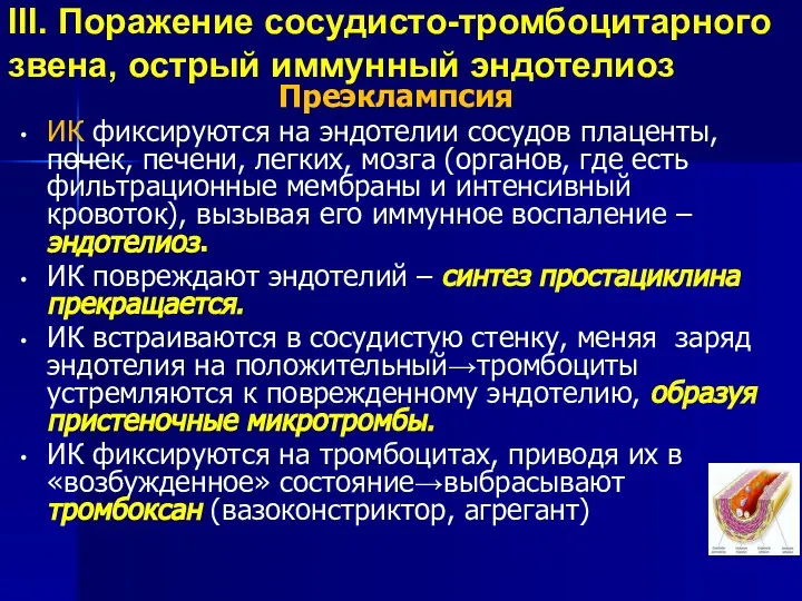 III. Поражение сосудисто-тромбоцитарного звена, острый иммунный эндотелиоз Преэклампсия ИК фиксируются на