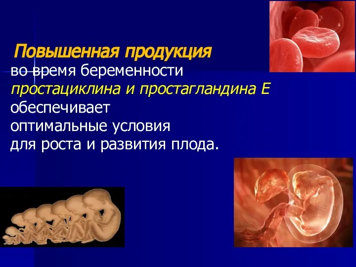 Повышенная продукция во время беременности простациклина и простагландина Е обеспечивает оптимальные