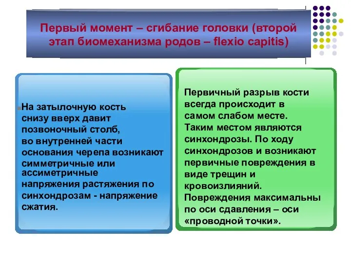 Первый момент – сгибание головки (второй этап биомеханизма родов – flexio