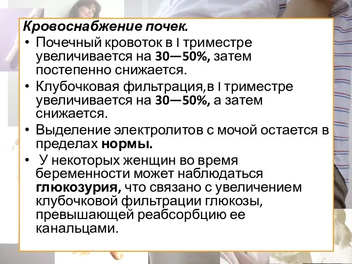 Кровоснабжение почек. Почечный кровоток в I триместре увеличивается на 30—50%, затем