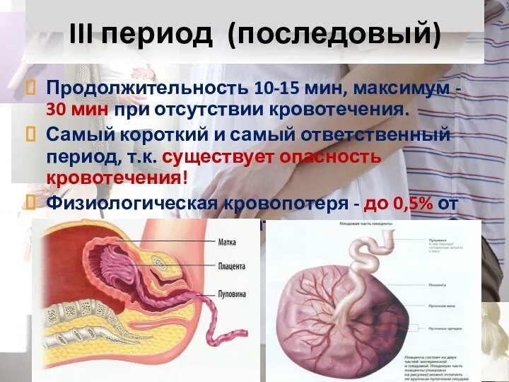 Продолжительность 10-15 мин, максимум - 30 мин при отсутствии кровотечения. Самый